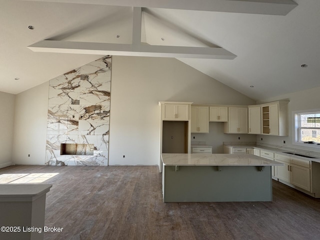 kitchen featuring a sink, dark wood-style floors, light stone countertops, and a kitchen island