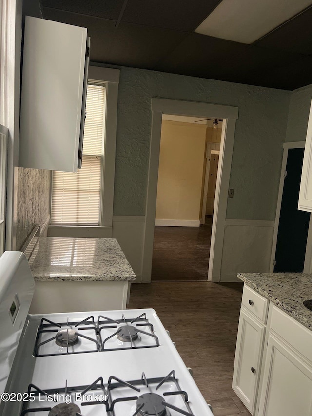 kitchen featuring dark hardwood / wood-style floors, light stone countertops, and white cabinets