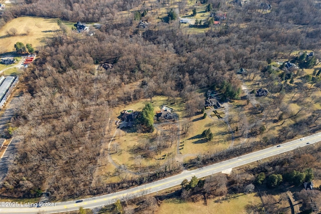 aerial view