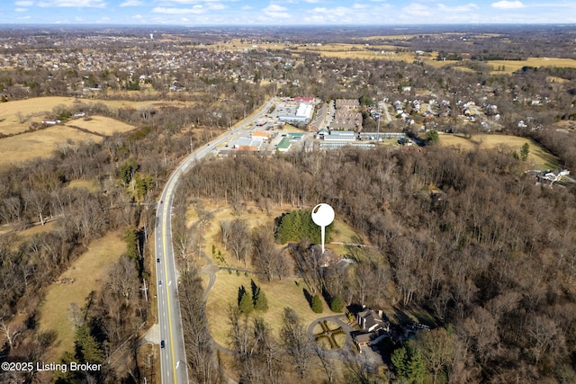 bird's eye view