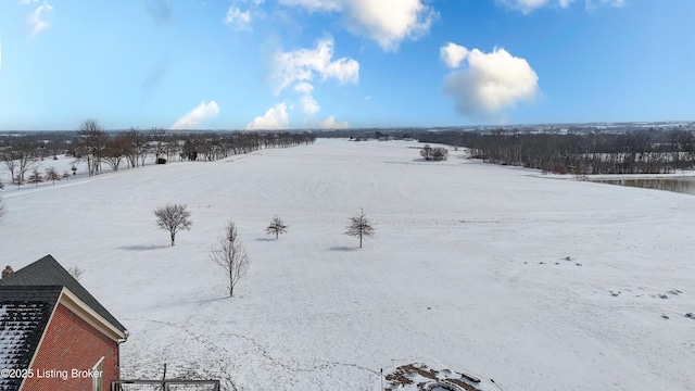 view of yard layered in snow