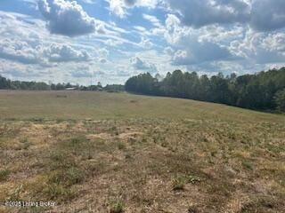 TRACT7 Attilla Rd, Campbellsville KY, 42718 land for sale