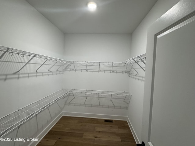 walk in closet with dark wood-type flooring