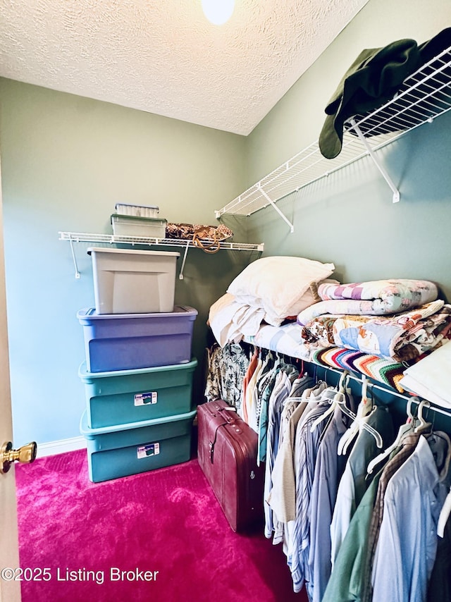 walk in closet featuring carpet