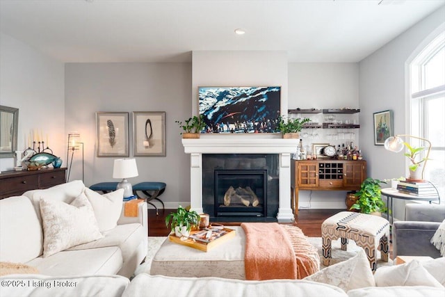 living room with hardwood / wood-style floors