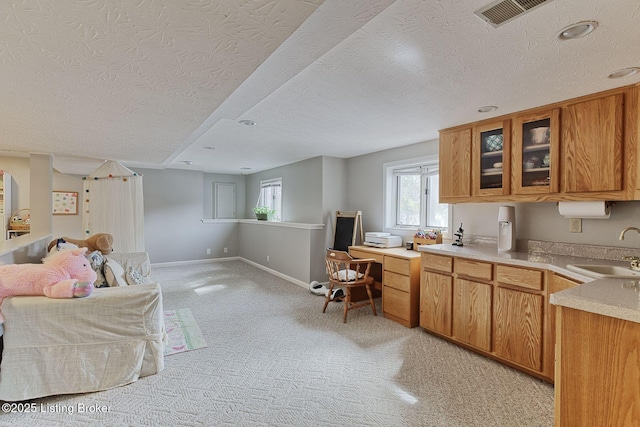 13200 Creekview Rd, Prospect, KY 40059 - kitchen with baseboards, glass insert cabinets, light countertops, visible vents, and a sink
