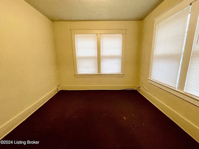 unfurnished room with a textured ceiling and carpet