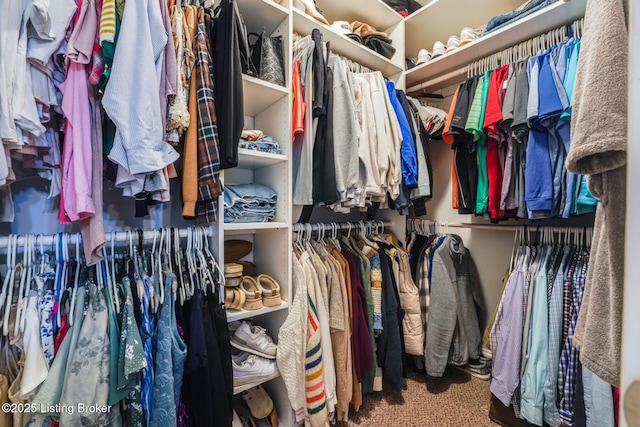 walk in closet with carpet floors