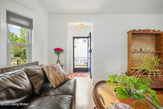 living room featuring hardwood / wood-style floors