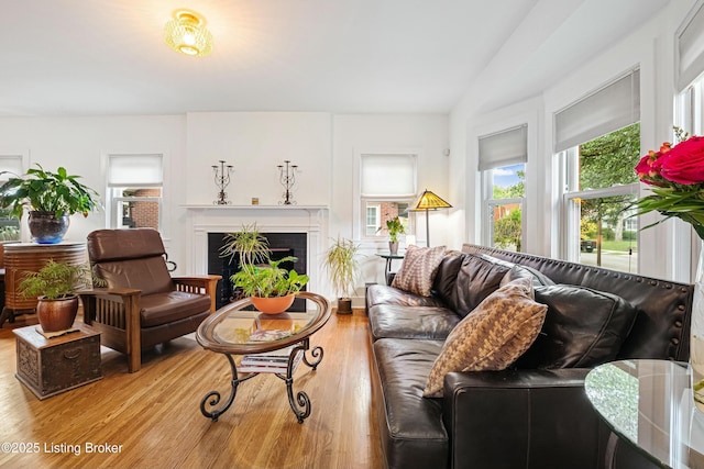 living room with lofted ceiling and wood-type flooring