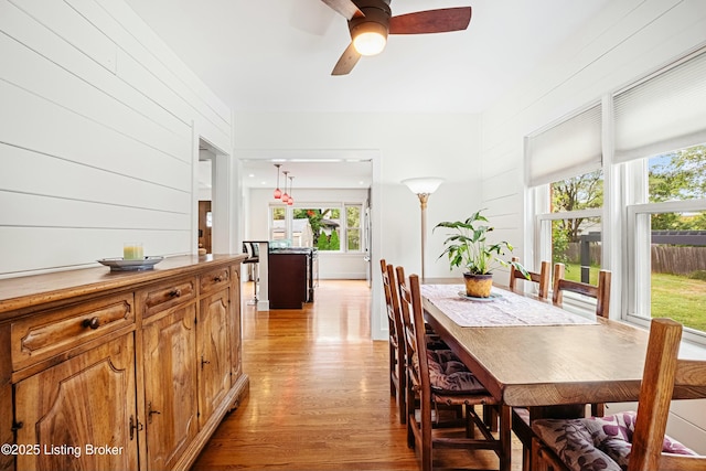 dining area with wooden walls, ceiling fan, and light hardwood / wood-style flooring