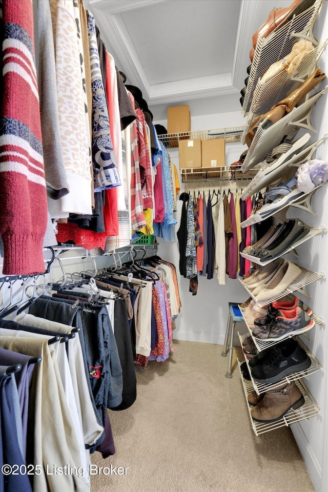 walk in closet featuring a tray ceiling and carpet flooring