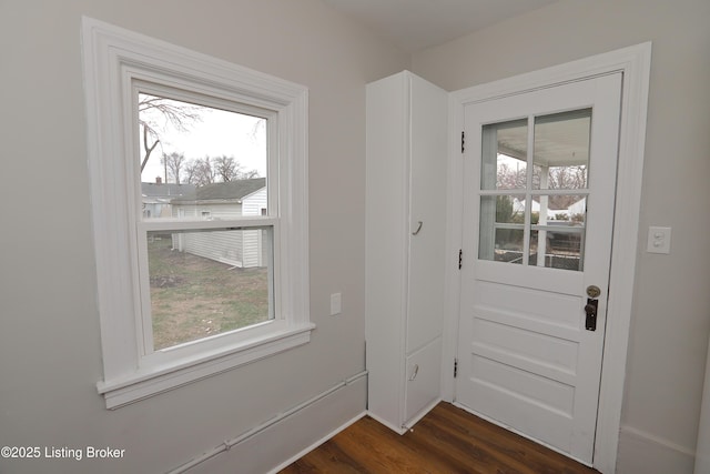 entryway featuring a wealth of natural light and dark hardwood / wood-style floors