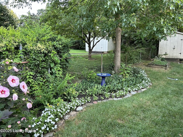 view of yard featuring a storage shed