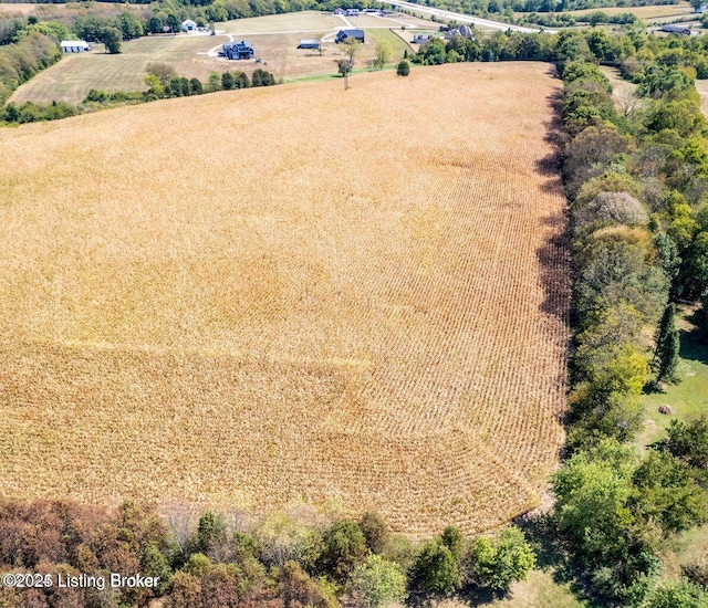 2480 Burks Branch Rd, Shelbyville, KY 40065 - photo 7