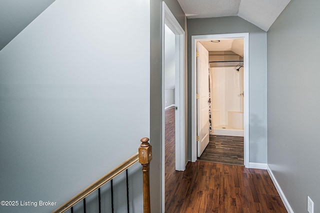 hallway with dark hardwood / wood-style flooring and lofted ceiling