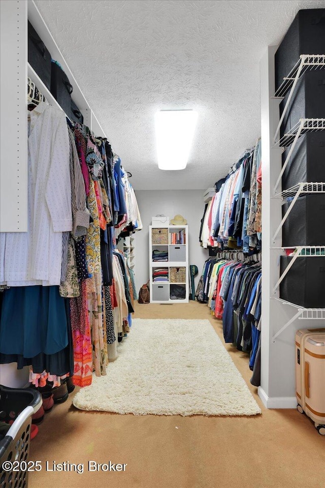 spacious closet with carpet flooring