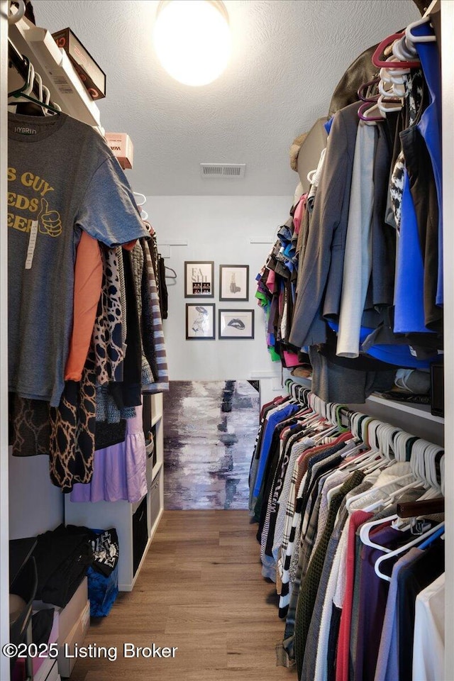 walk in closet with hardwood / wood-style flooring