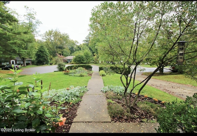 view of community with a lawn