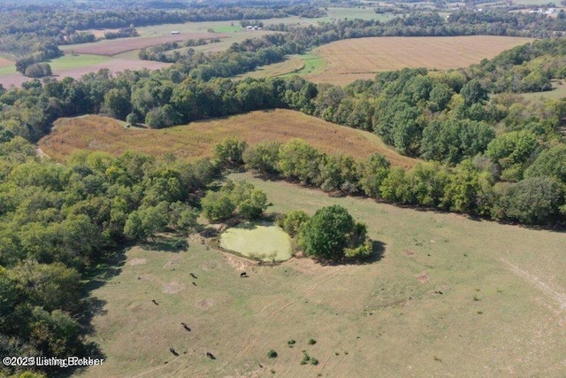 905 Tucker Ln, Springfield, KY 40069 - photo 7