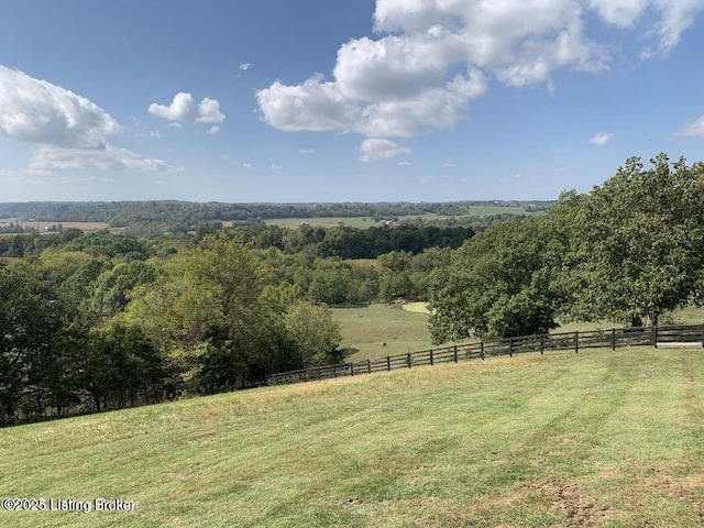905 Tucker Ln, Springfield, KY 40069 - photo 43