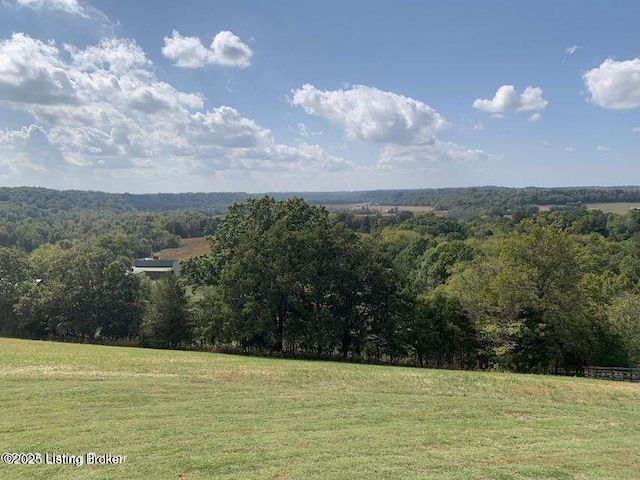 905 Tucker Ln, Springfield, KY 40069 - photo 44