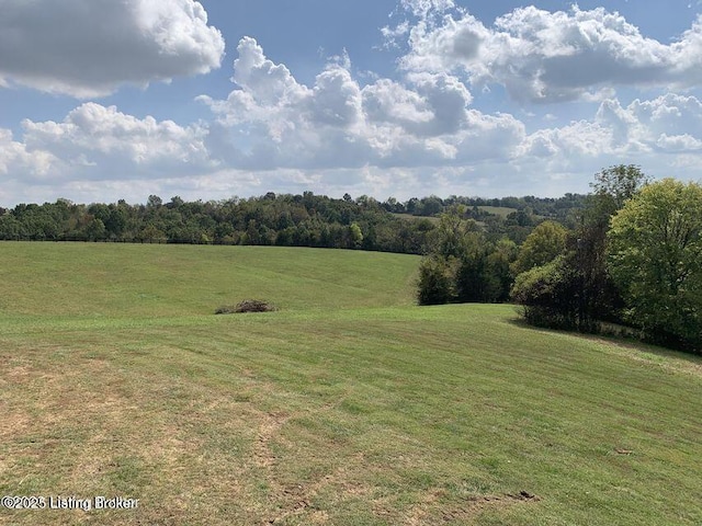 905 Tucker Ln, Springfield, KY 40069 - photo 45