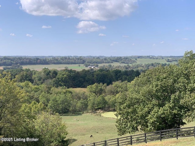 905 Tucker Ln, Springfield, KY 40069 - photo 46