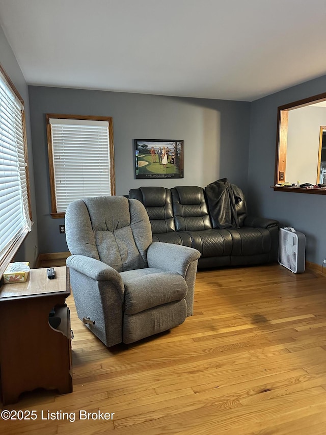 living room featuring light hardwood / wood-style floors