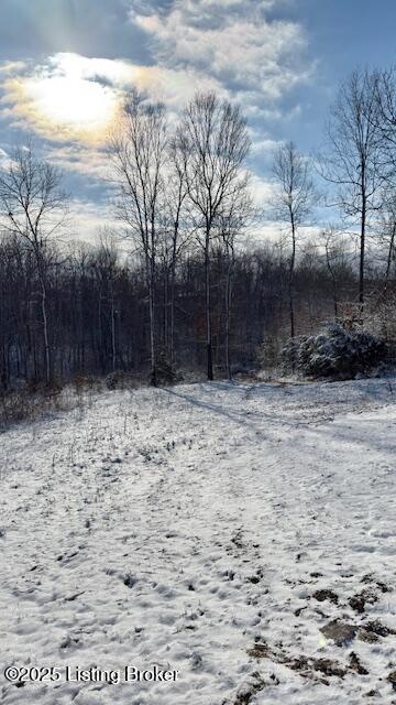 Listing photo 2 for 0 Grant Ridge Rd, Leitchfield KY 42754