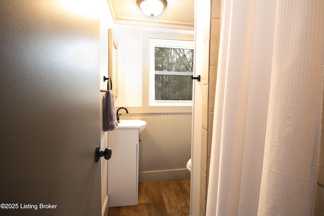 bathroom with wainscoting, vanity, toilet, and wood finished floors