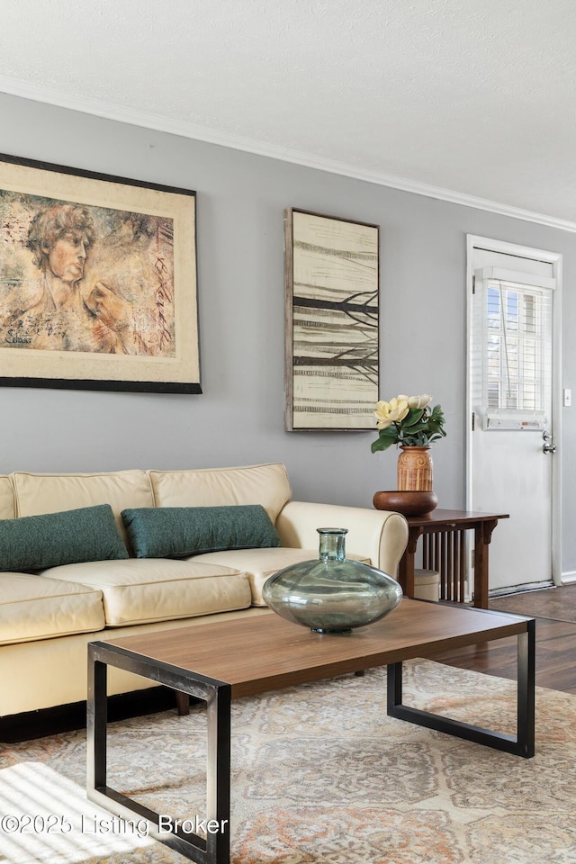 living area featuring ornamental molding and wood finished floors