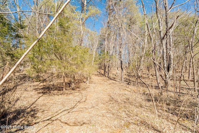 view of local wilderness