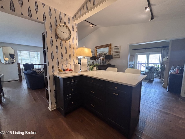 kitchen with dark wood-style floors, lofted ceiling, open floor plan, and light countertops