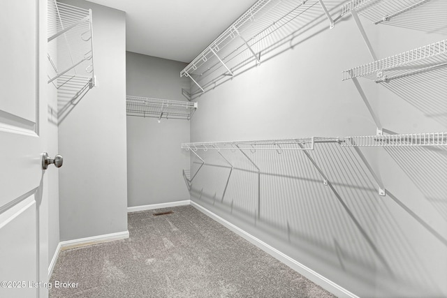 walk in closet featuring carpet flooring