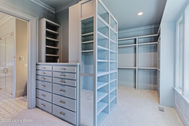 walk in closet with carpet floors and visible vents