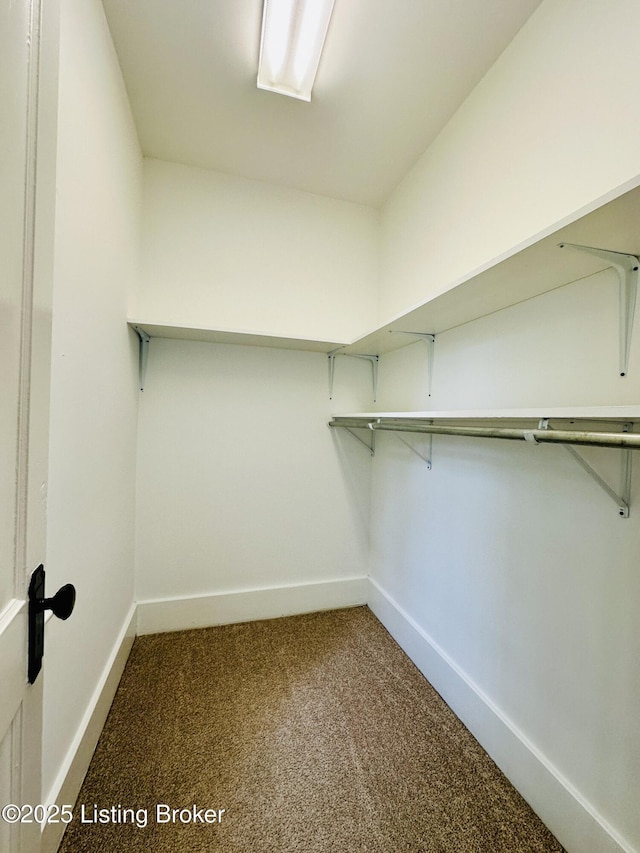 438 S Hite Ave, Louisville, KY 40206 - spacious closet featuring dark colored carpet