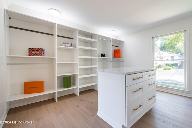 walk in closet with light wood-type flooring