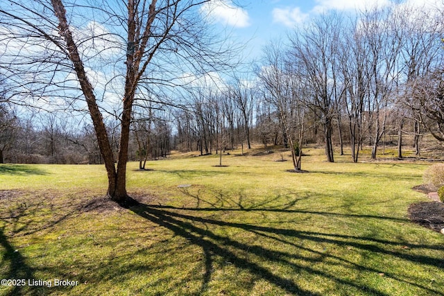 view of yard