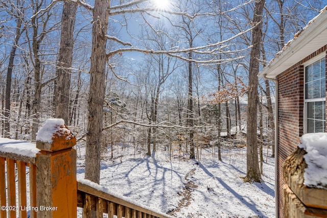 view of yard covered in snow