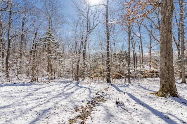 view of yard layered in snow