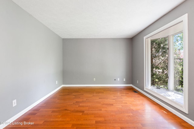 10207 El Coco Ct, Louisville, KY 40291 - spare room featuring light wood finished floors and a textured ceiling
