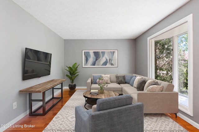 10207 El Coco Ct, Louisville, KY 40291 - living area featuring wood finished floors and a textured ceiling