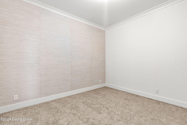 carpeted spare room featuring baseboards and crown molding