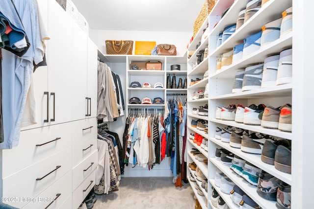 spacious closet with light colored carpet