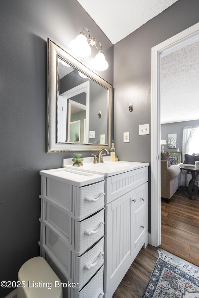 bathroom featuring wood finished floors and vanity