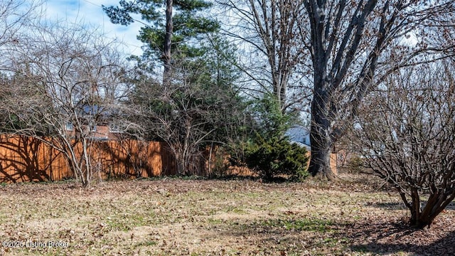 view of yard featuring fence