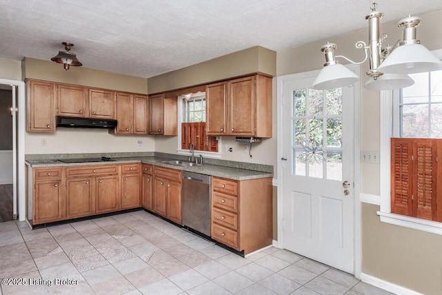 kitchen featuring a textured ceiling, black electric cooktop, under cabinet range hood, a sink, and stainless steel dishwasher