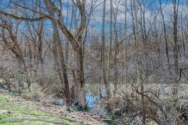 view of nature with a wooded view