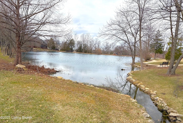 view of water feature